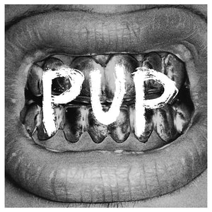 PUP - S/T LP / CD (2015)