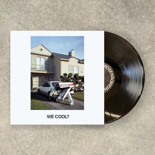 Jeff Rosenstock - We Cool? LP / CD (2015)