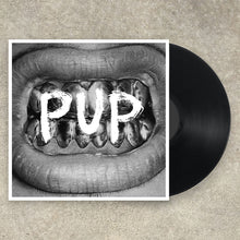 Load image into Gallery viewer, PUP - S/T LP / CD / Digital Download (2015)

